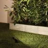 Projecteur Arbre et Arbuste