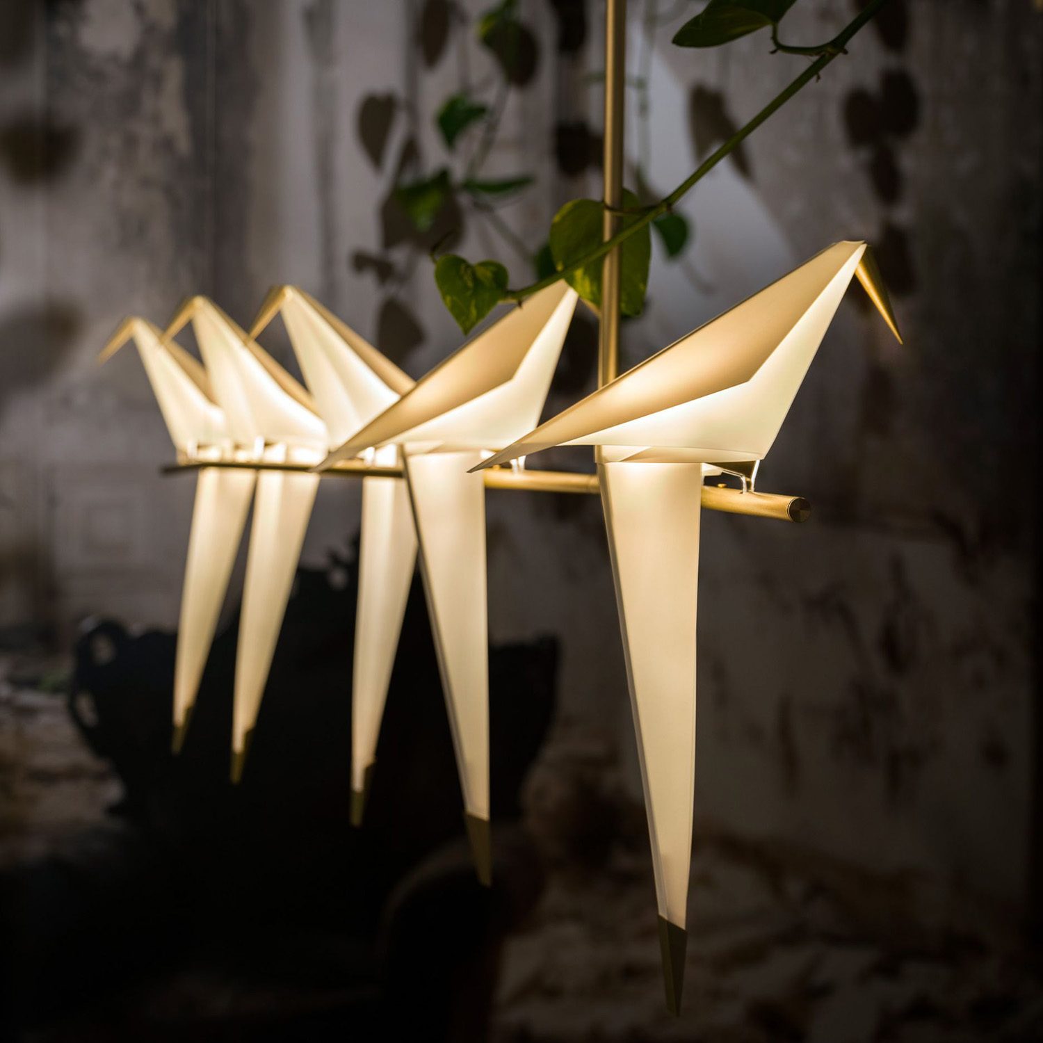 b0001436-for-web-moooi