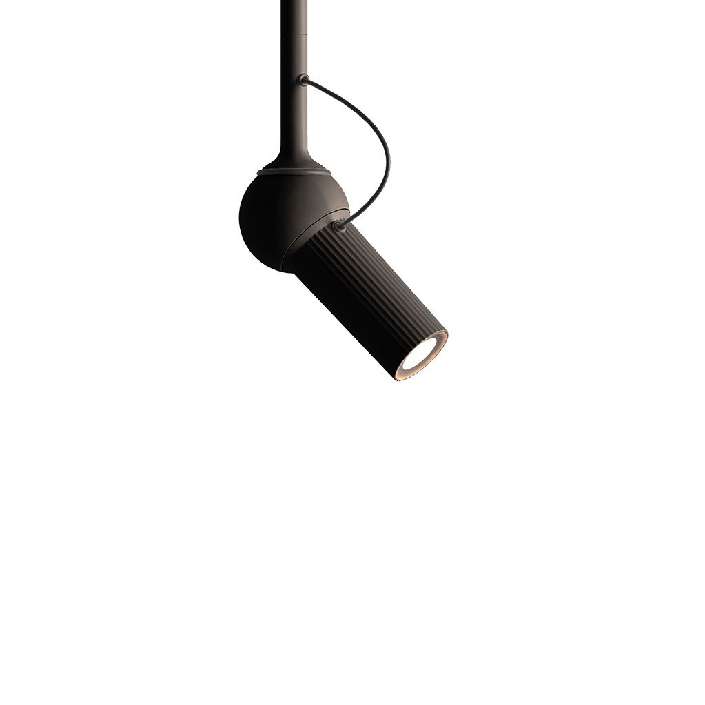 bird_ceiling_black_-_copie