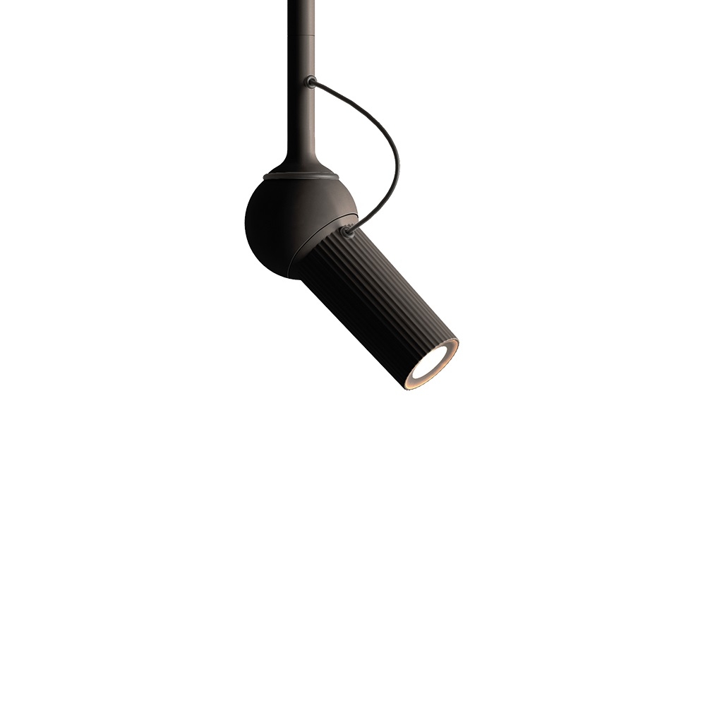 bird_ceiling_black_-_copie