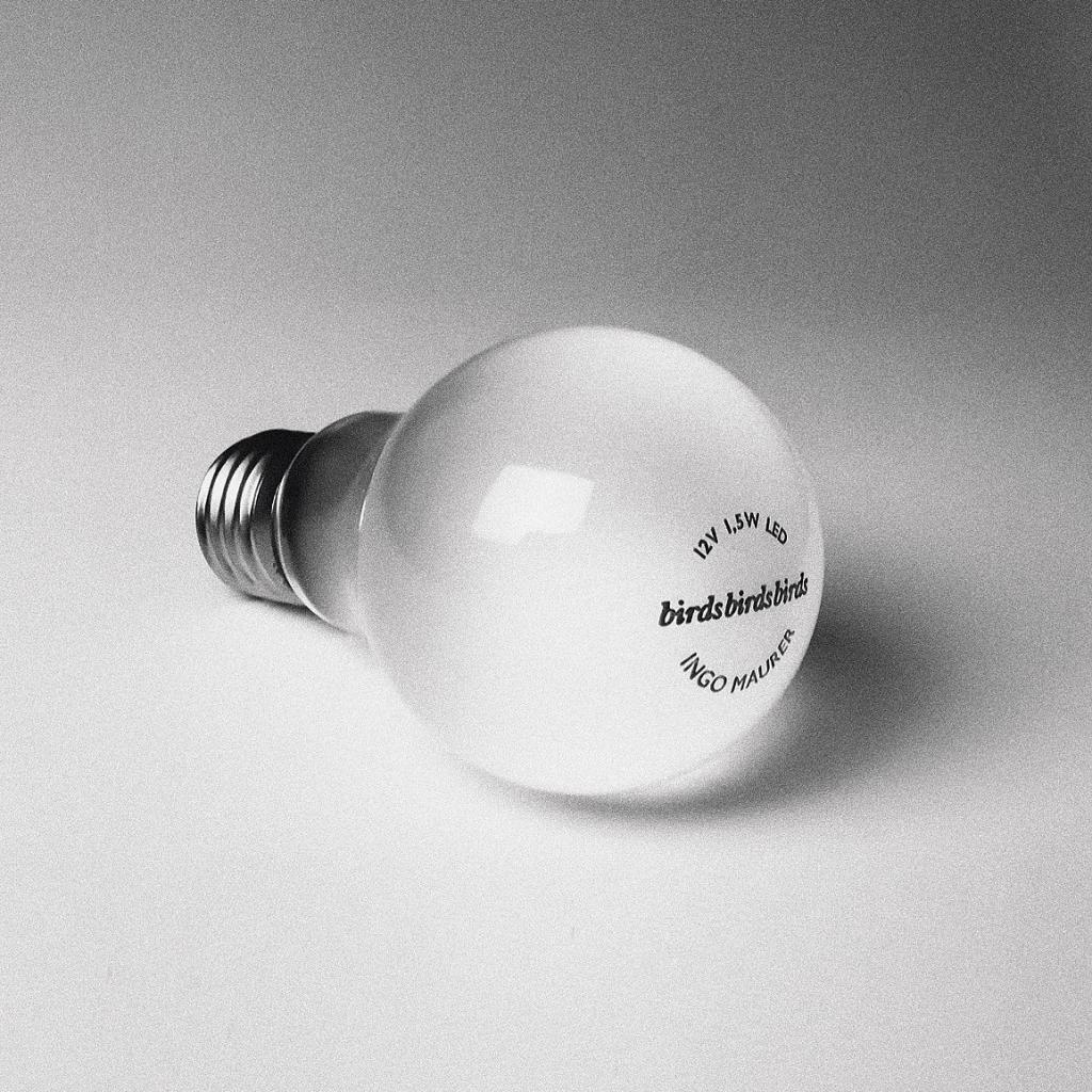 birdie_led_bulb_1400_web_hs