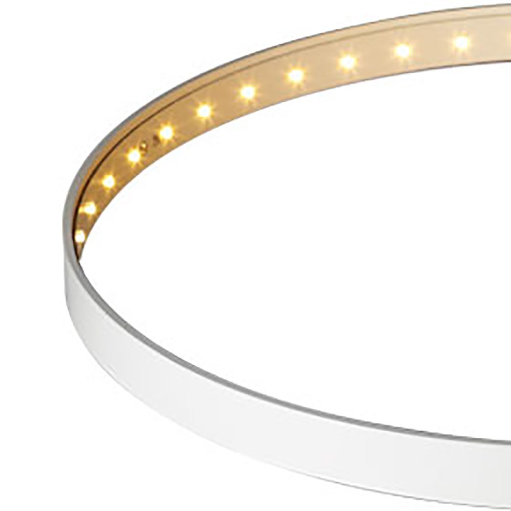 circle_30__blanc_1