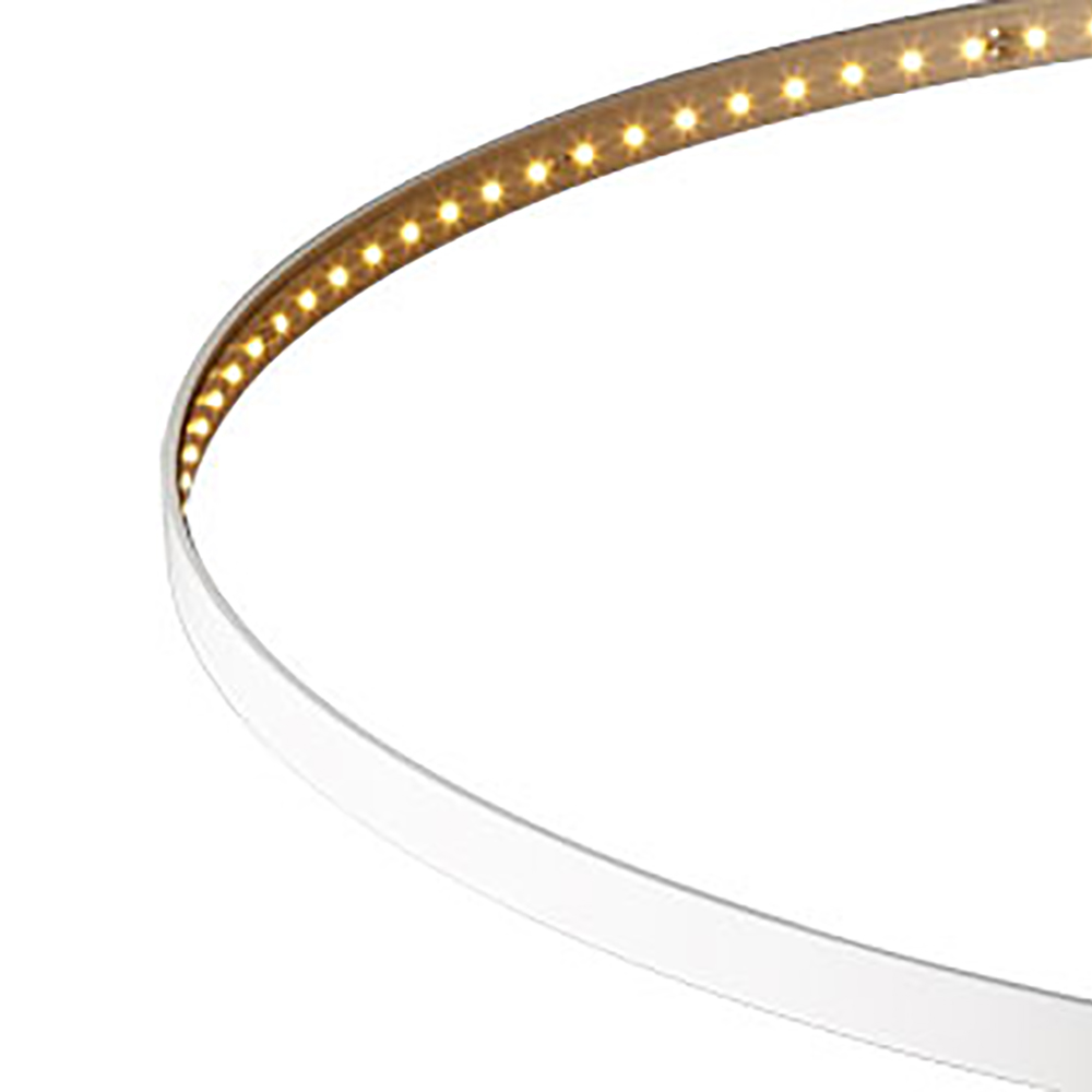circle_80_blanc_1