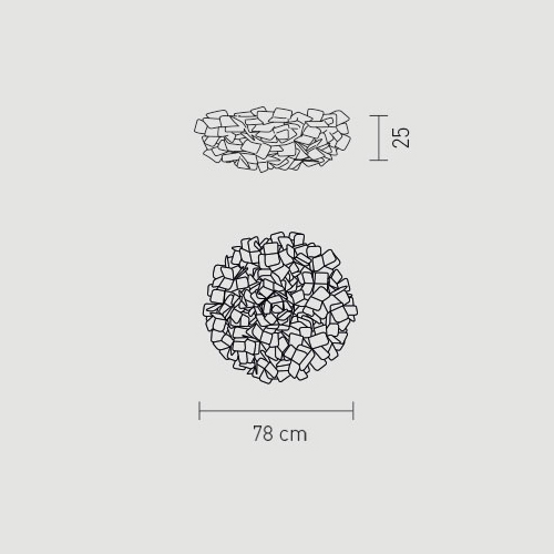 clizia-large_outline_3