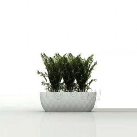 Vases Jardiniere