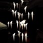 Perch Light Arbre
