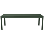 Ribambelle Table 2 Allonges Vert Cèdre