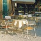 Segno Fauteuil Teck