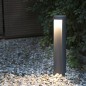 Tanya Borne LED