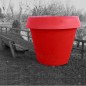 Gio pot 