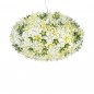 Big Bloom Suspension
