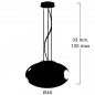 Capron Suspension
