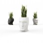 Adan et Eva Pot Design