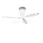 Blow Ventilateur Lumineux 
