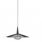 Carpa Suspension