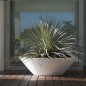 Centro Fang Pot Design