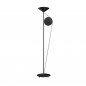 Cercle et Trait Lampadaire Graphite