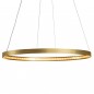 Circle 60 Suspension