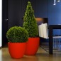 Cuenco Fang Pot Design
