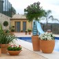 Cuenco Fang Pot Design