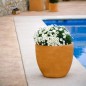 Cuenco Fang Pot Design