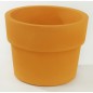 Vaso Fang