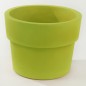 Vaso Fang