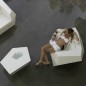 Faz Bucata Fauteuil