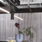 Fine Suspension