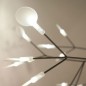 Heracleum The Big O LED