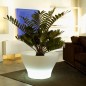 Centro Alto Pot Lumineux