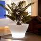 Centro Alto Pot Lumineux