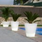 Cono Pot Lumineux