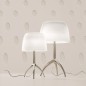 Lumière 30th