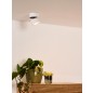 Mikuyo Spot plafond LED Dim. 1x8W 2700K BLANC