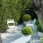 Star Fauteuil de Jardin