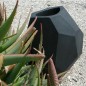 Secret Vase