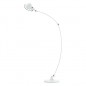 Signal Lampadaire Courbe
