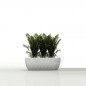 Vases Jardiniere