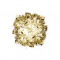 Veli Applique/Plafonnier OR