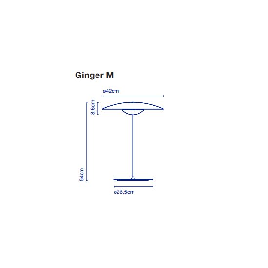 ginger_m_1