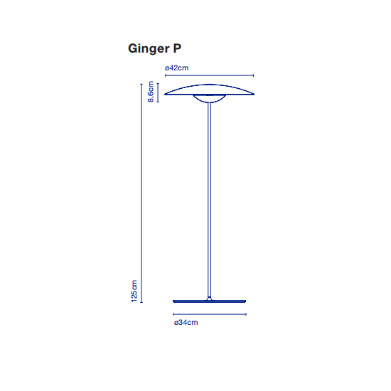 ginger_p