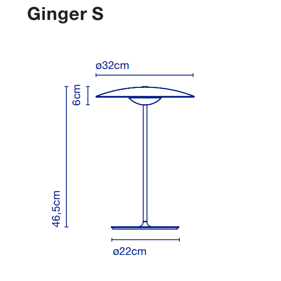 ginger_s_1