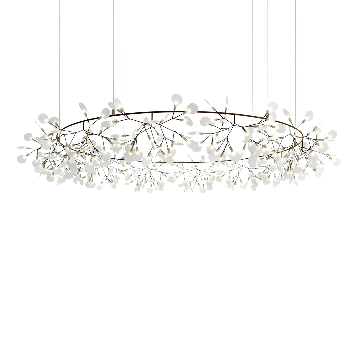 heracleum_cirkle_bigo_1