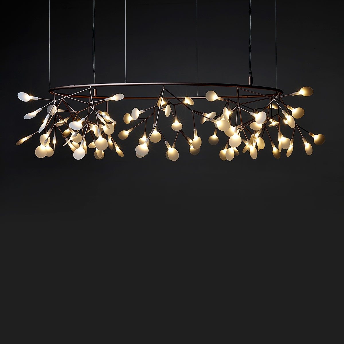 heracleum_small_big_o_5_1