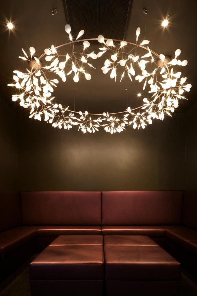 heracleum_the_big_o_big1