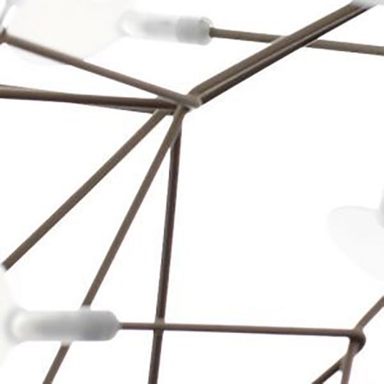 heracleum_white2_nickel_2_1