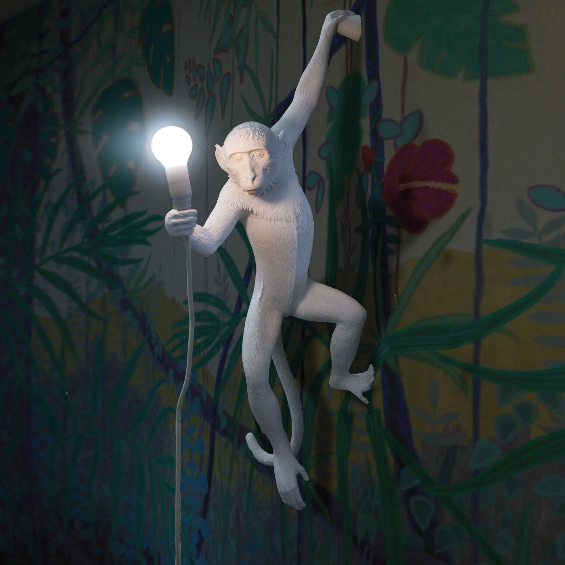 monkey_hanging