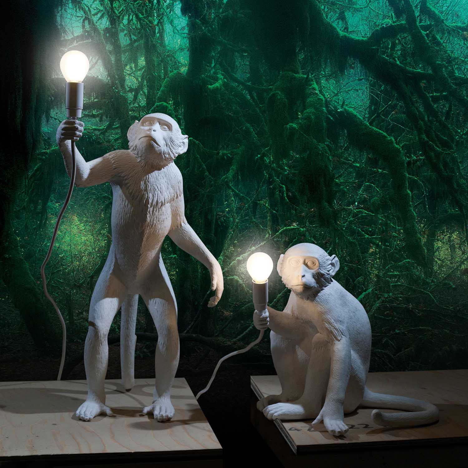 monkey_stand_sit