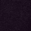 noir-24_22
